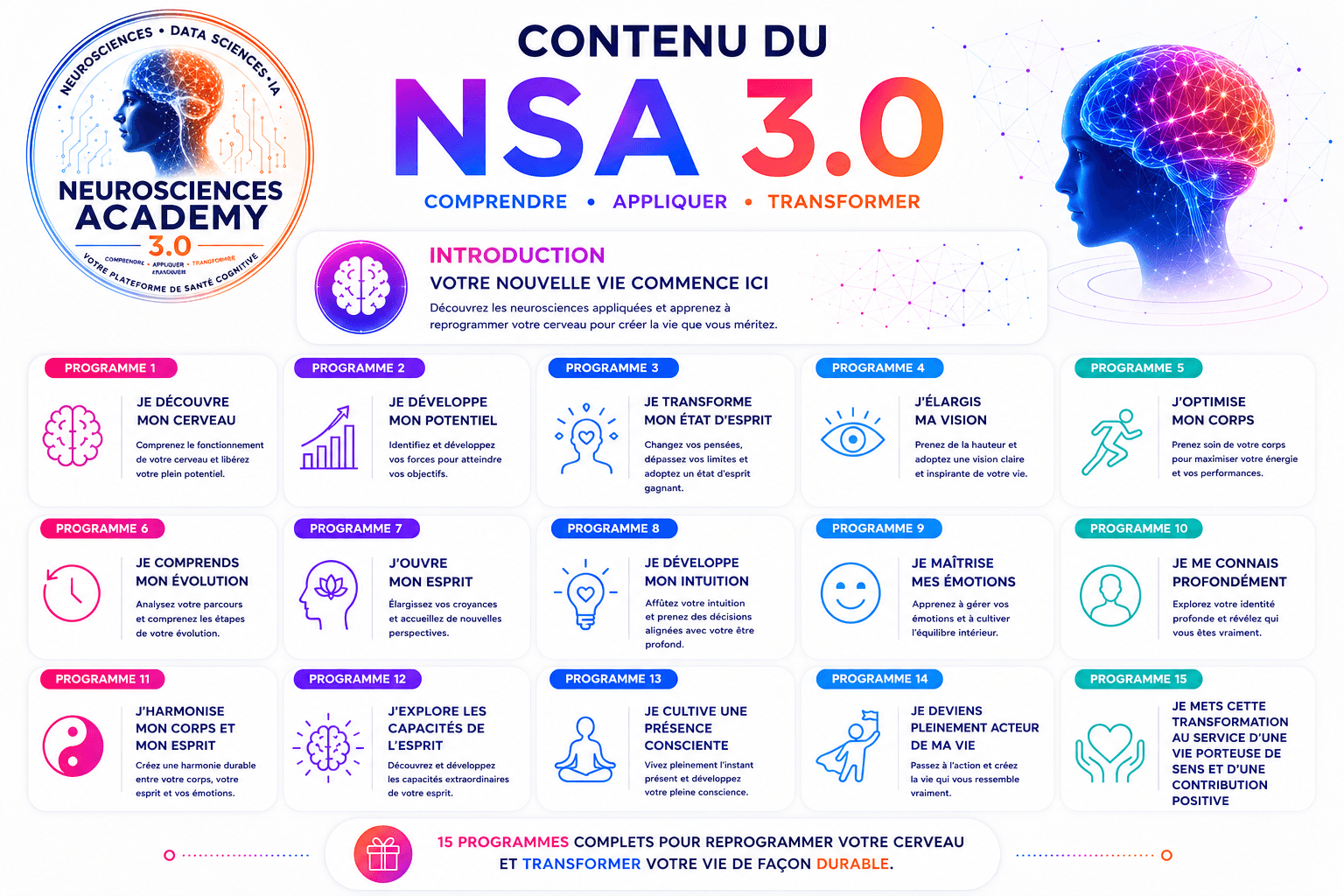 Programme NSA 3.0 · La transformation globale